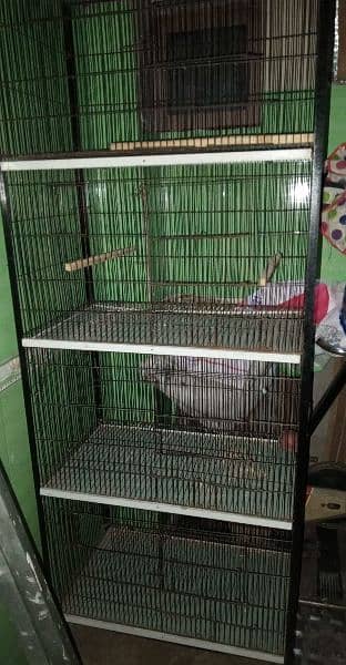 Cage for Birds 1