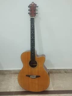 Steinberg Semi Acoustic Guitar with Bag!