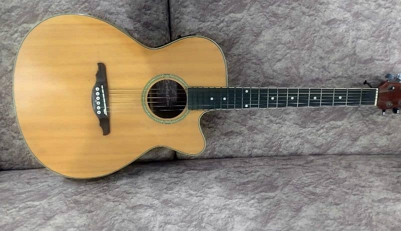 Steinberg Semi Acoustic Guitar with Bag! 1