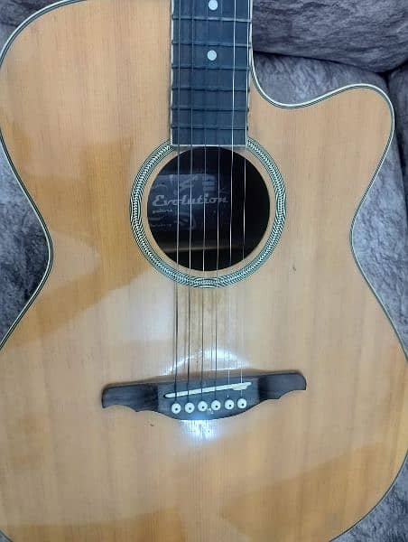 Steinberg Semi Acoustic Guitar with Bag! 3