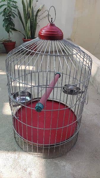 Parrot Cage 2