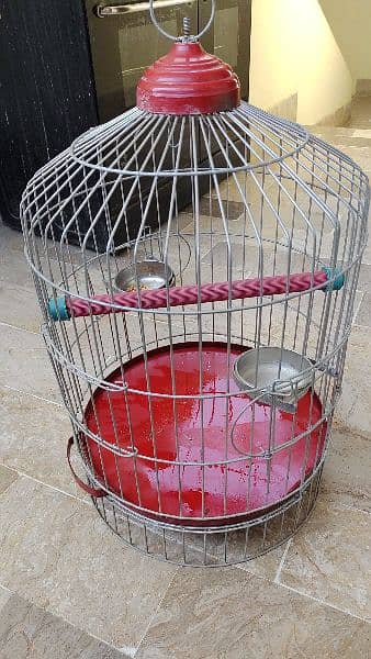 Parrot Cage 4