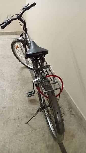 Viva Bicycle 1