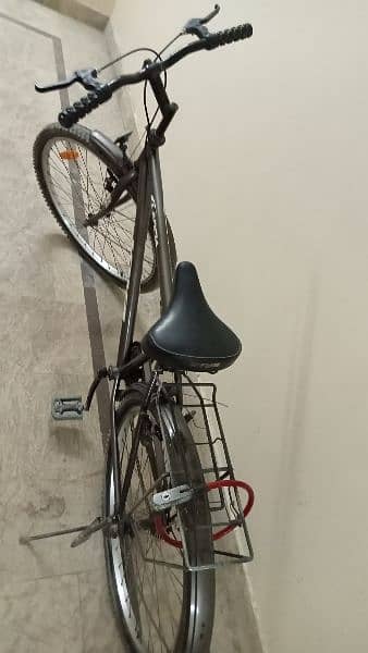 Viva Bicycle 2