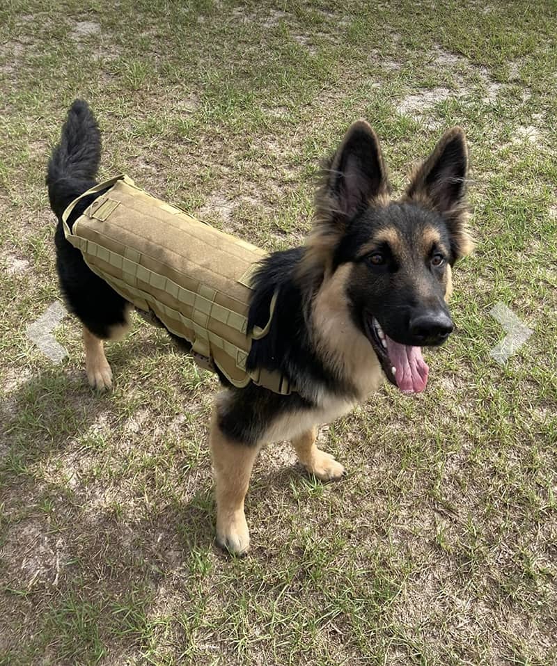 Dog tactical vest harness 0