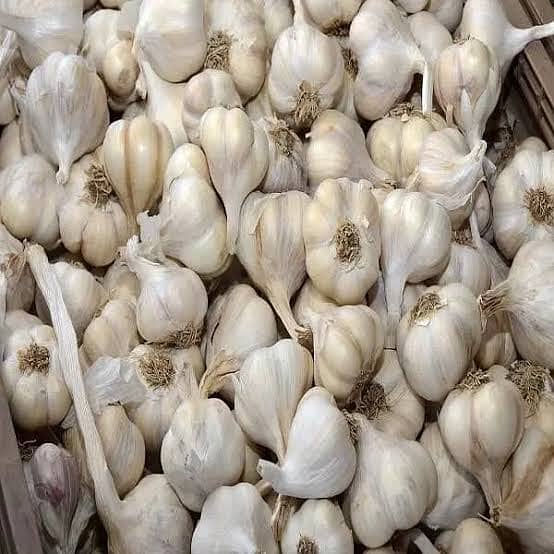 Desi Garlic for sale 1