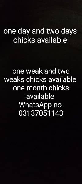 one day and two days chikcs price (Rs. 90] 1