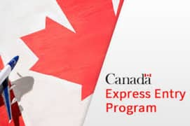 Path to Canadian Residency: Expert Immigration Consultancy! 0