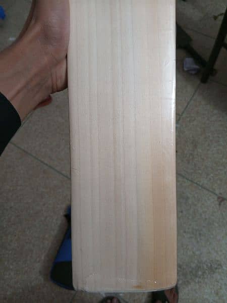 CA gold dragon hard ball cricket bat ( pin pack 100 percent original) 15