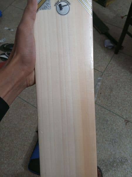 CA gold dragon hard ball cricket bat ( pin pack 100 percent original) 19