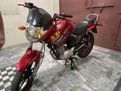 mint condition bike only serious customer contact only (whatsapp)