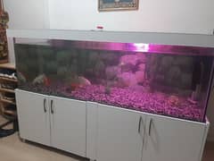 6ft × 2ft aquarium brand new with imported water proof wood