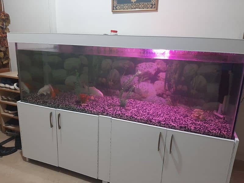7ft × 2ft aquarium brand new with imported water proof wood 0