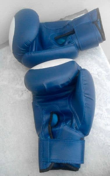 boxing gloves for sale condition 10/9 hai 2