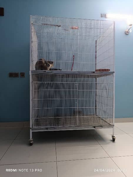 Cage for cat's 1