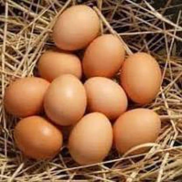 Pure desi eggs for all over Lahore 2