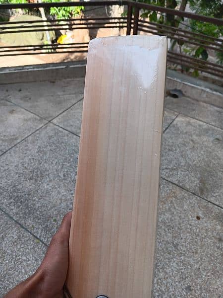 CA gold dragon hard ball cricket bat(100 percent original,) 5