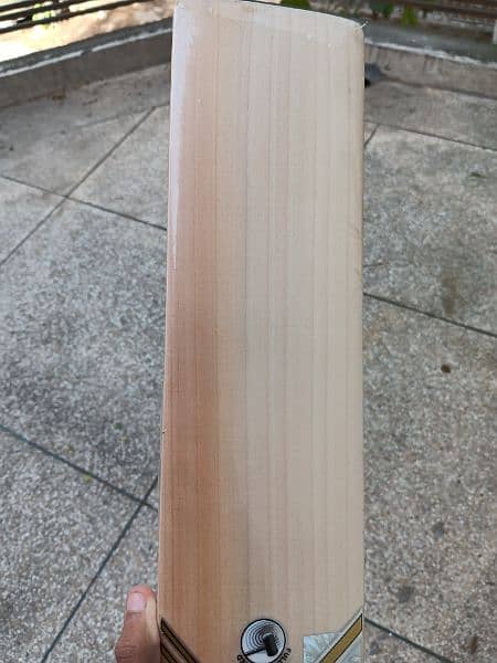 CA gold dragon hard ball cricket bat(100 percent original,) 14