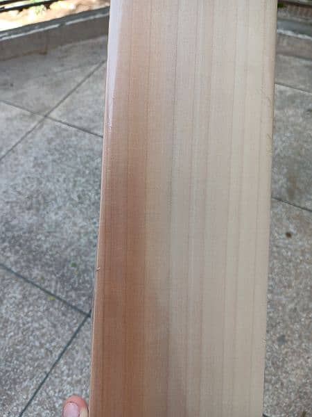 CA gold dragon hard ball cricket bat(100 percent original,) 16