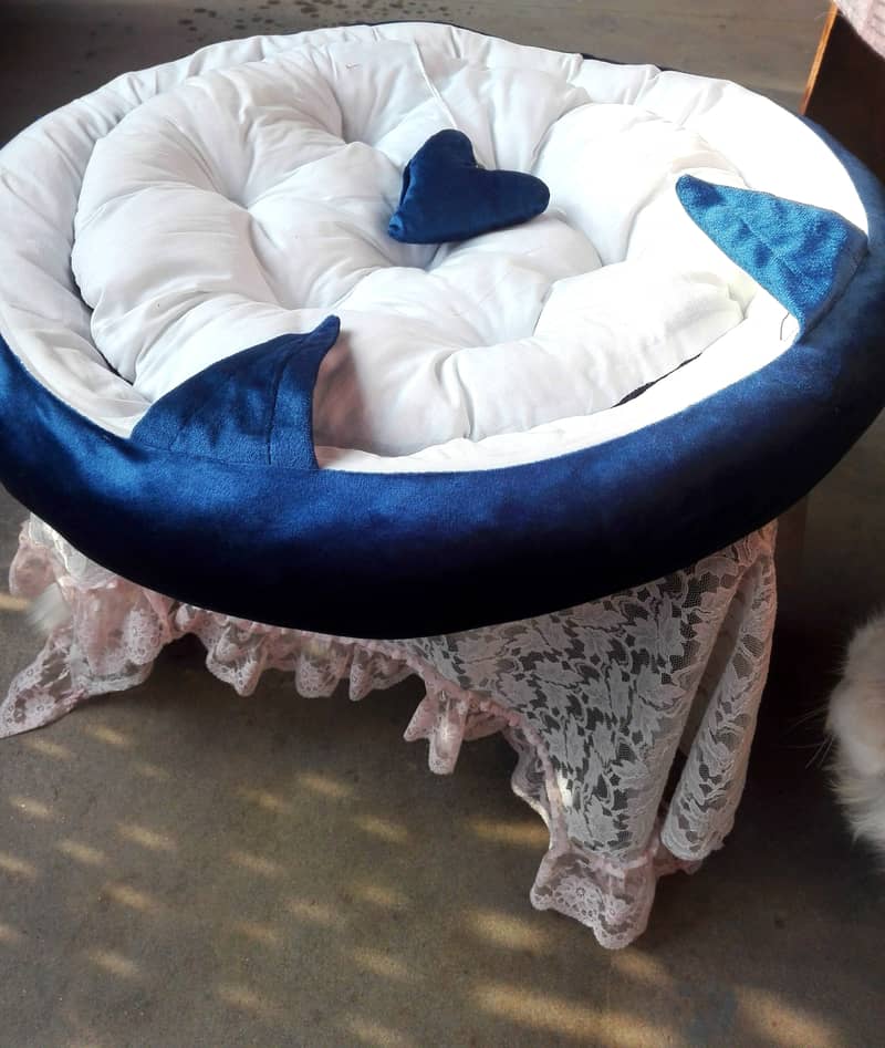 Cat bed for sale urgent 4