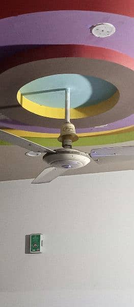 Ceiling Fan For Sale in Lahore Pak Arab 1
