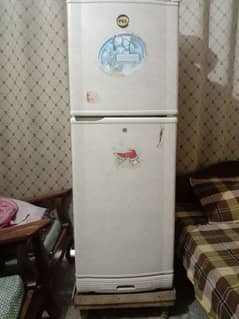 Pel Refrigerator / Fridge Medium size for sale