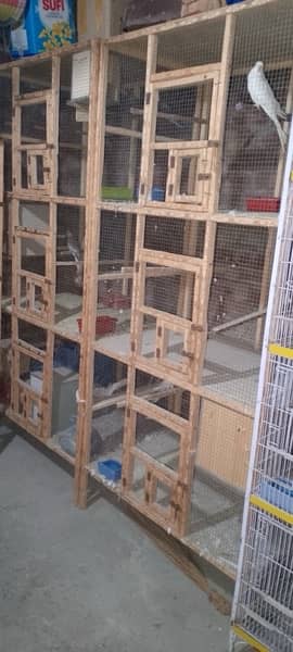 Parrots and Cages 1