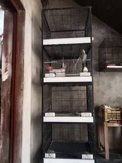 03052797627  parrot  cage Sath milyga