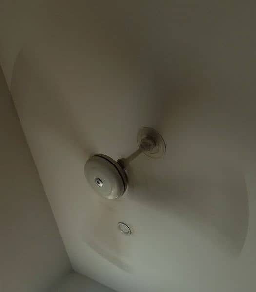 Ceiling Fans 1