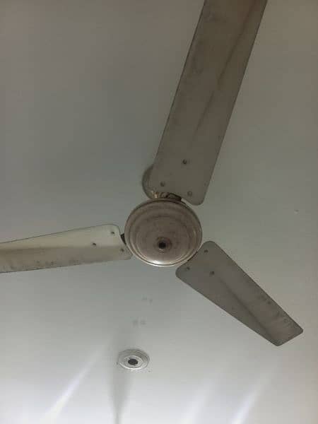 Ceiling Fans 3