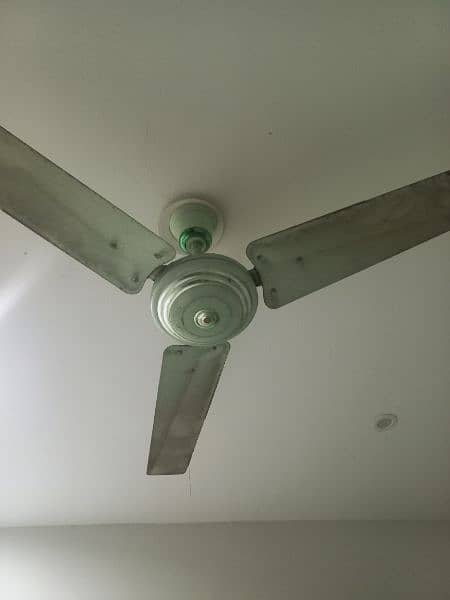 Ceiling Fans 5