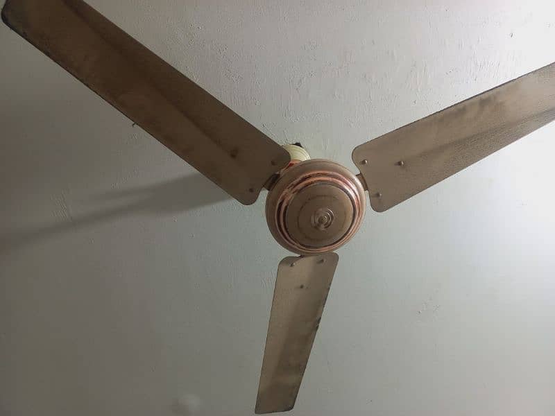 Ceiling Fans 6