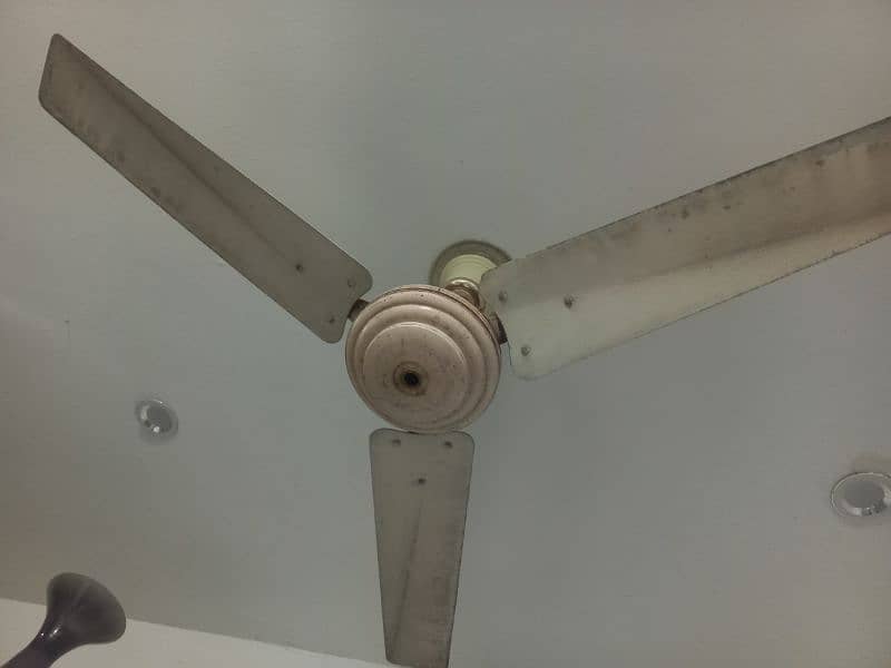 Ceiling Fans 7