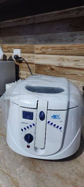 Anex Deep Fryer for Sale 1