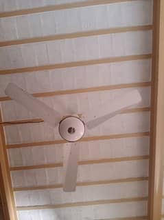 4 ceiling fan