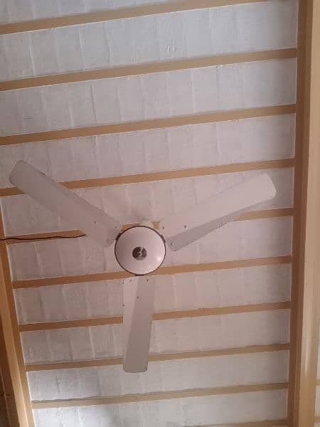 4 ceiling fan 0
