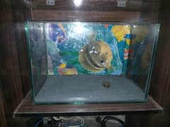 New condition aquarium for sale with air pump stand urgent sale