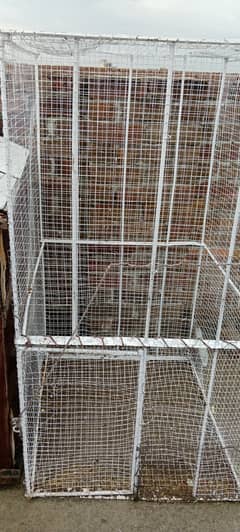 Pigeons/Parrot cage