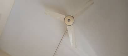 GFC fan, 3 ceiling fan, new condition 10/10