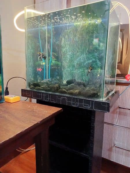 1.5 feet Fish Aquarium 1