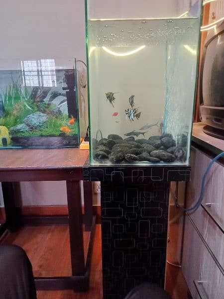 1.5 feet Fish Aquarium 4