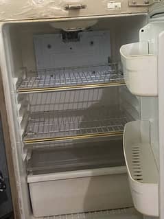 wavs medium size fridge