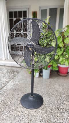 Pedestal Fan, 24” (24 inches), 99.9% copper wire