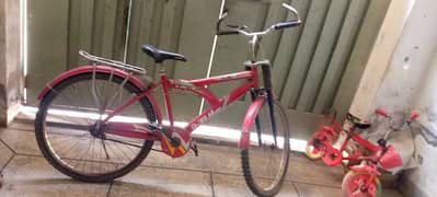 Two cycle for Sale