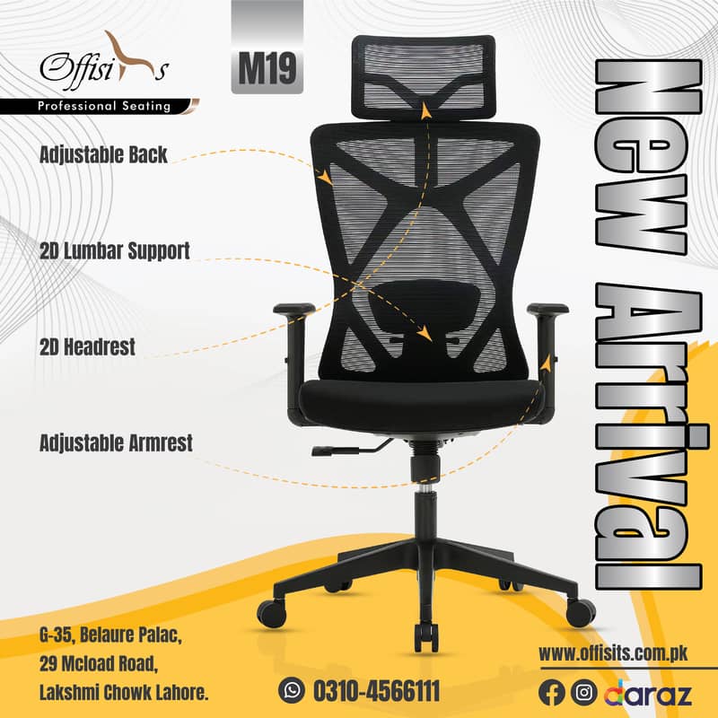 High End Ergonomic Chair with Lumbar Support - 1 Year Warranty 1