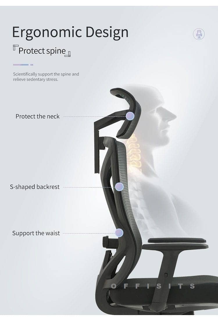 High End Ergonomic Chair with Lumbar Support - 1 Year Warranty 2