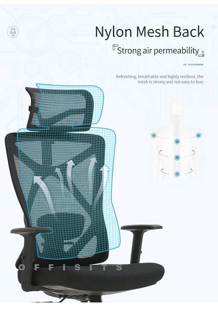 High End Ergonomic Chair with Lumbar Support - 1 Year Warranty 3