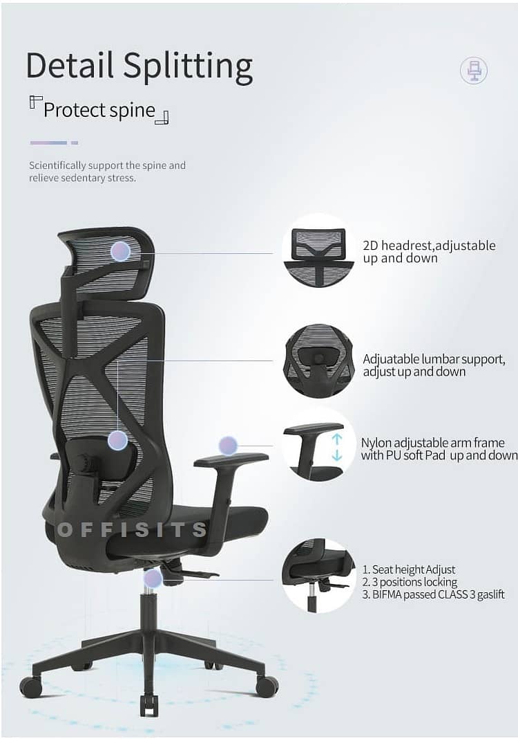 High End Ergonomic Chair with Lumbar Support - 1 Year Warranty 6