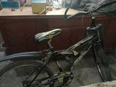 Speeder Cycle for Sale
