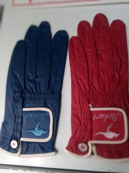 Golf Gloves 1